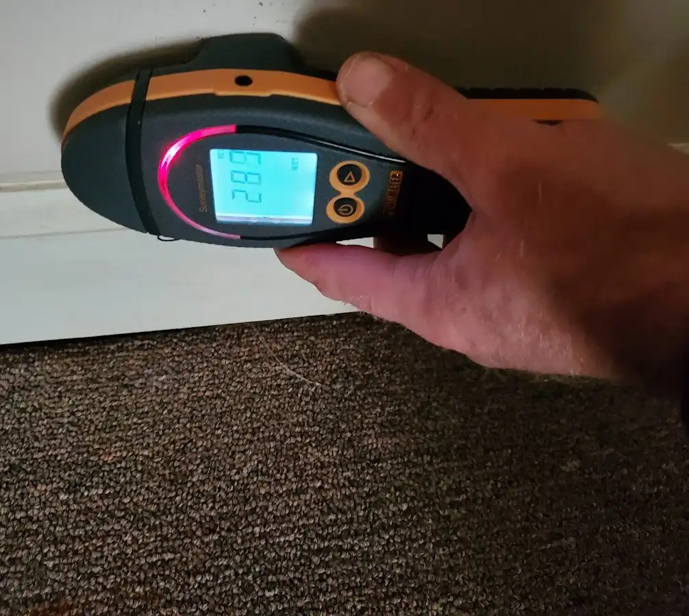 Moisture detection at baseboard during Sewage Cleanup & Sanitation in Clayton